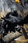Batman Universe (2010) - 5 - Le r�veil - Variant