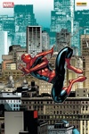 Spider-man (Vol 2 - 2000) - 145 - A bras le corps - Variant
