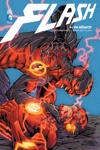 DC Renaissance - Flash - Tome 4 - En n�gatif