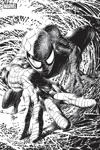 Spider-man (Vol 6 - 2017) - 9 - Collector
