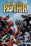 Marvel Select - Black Panther Tome 2 - Ch�timent