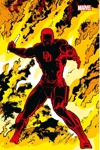 Marvel Omnibus - Daredevil : Compagnon - Exclu Panini