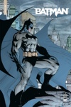 Urban Comics Nomad - Batman silence