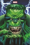 Marvel Omnibus - Immortal Hulk 1 - Exclu Panini