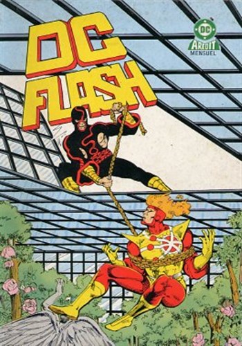 DC Flash - Serie 1 n13