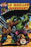 Hulk - Gamma n11 - 
Le maillon manquant