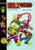Hulk HS n1
Hulk, Power Man et Iron Fist