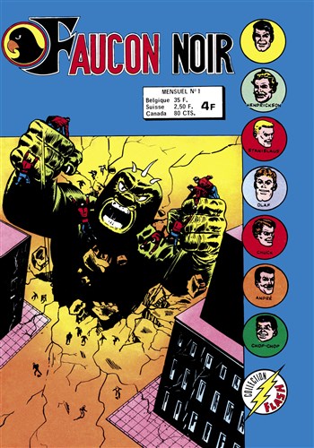 Faucon Noir - Collection Flash n1