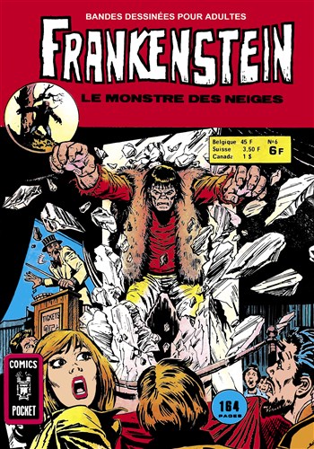 Frankenshtein - Pocket NB n6 - Le monstre des neiges