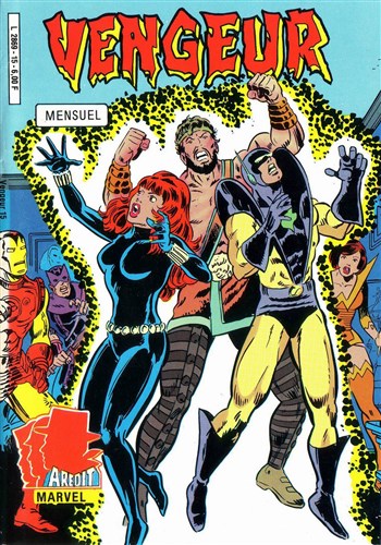 Vengeur - Pocket NB - Serie 2 n�15