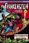 Frankenshtein - Pocket NB n2 - 
Ravissante sorcire