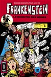 Frankenshtein - Pocket NB n6 - 
Le monstre des neiges
