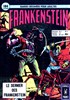 Frankenshtein - Pocket NB n3
Le dernier des Frankenstein