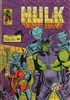 Hulk - Pocket NB n�13 title=