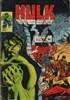 Hulk - Pocket NB n�15 title=