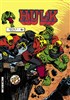 Hulk - Pocket NB n�21 title=