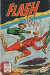 Flash (Pop Magazine) n17 - 
L'homme puzzle