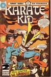 Karat� Kid - 9 - 10