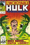 L'Incroyable Hulk n&ordm;175