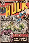 L'Incroyable Hulk n&ordm;19