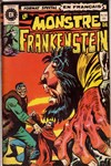 Le monstre de Frankenstein n&ordm;10