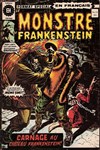 Le monstre de Frankenstein n&ordm;11