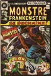Le monstre de Frankenstein n&ordm;13