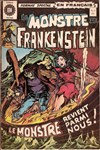 Le monstre de Frankenstein n&ordm;5