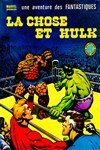 Une aventure des Fantastiques - 20 - La Chose et Hulk
