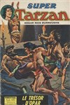Super Tarzan - s�rie 1 n&ordm;14