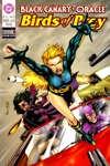 Birds of Prey - Manhunt �pisodes 1et 2